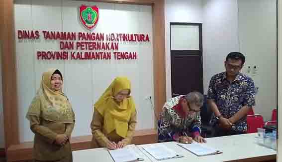 Dukung Ekstensifikasi Cetak Sawah, Dinas TPHP Kalteng dan PT ANH Tandatangani Kontrak Kerja Sama