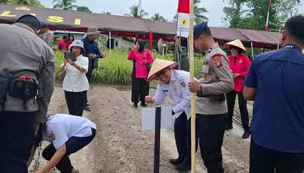 Disbun Kalteng Hadiri Panen Raya Jagung Serentak di Kelurahan Banturung