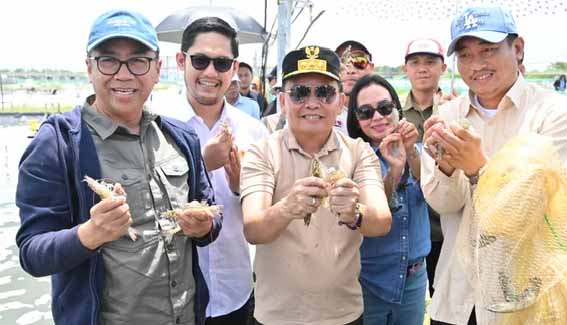 Gubernur Kalteng Agustiar Sabran Panen Parsial Udang Vaname Shrimp Estate Berkah