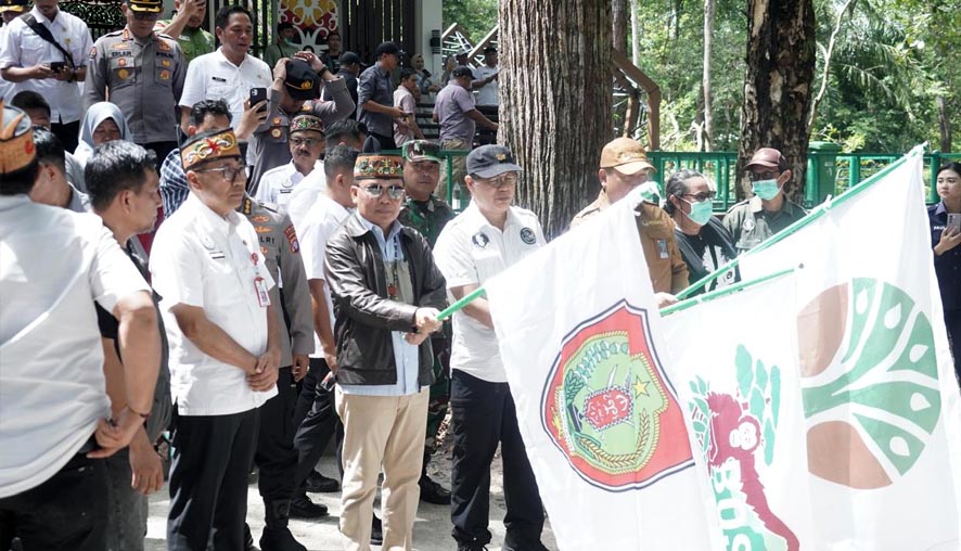 Gubernur Agustiar Sabran Pimpin Pelepasliaran Orangutan