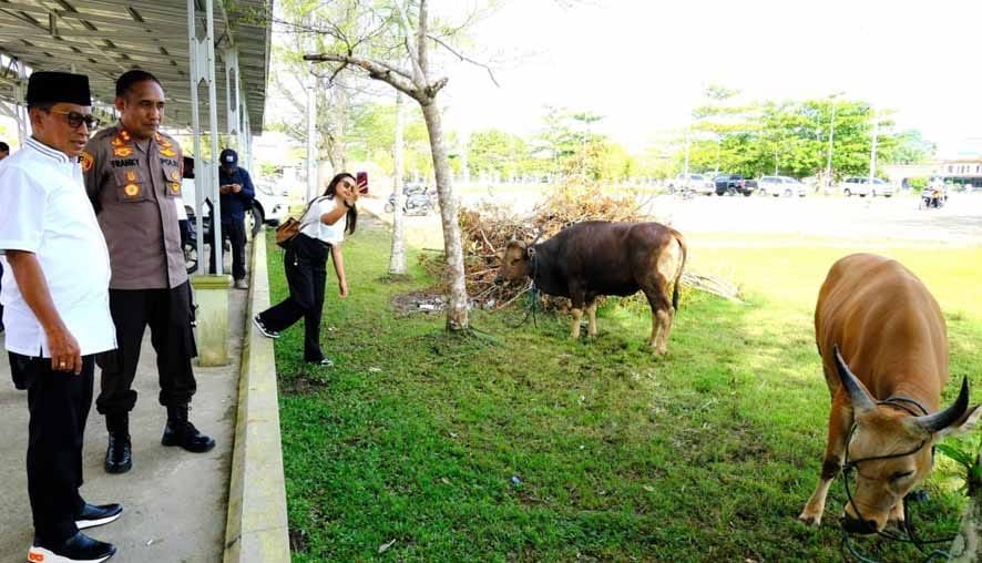 Sambut Idul Adha, Bupati Mura Serahkan Puluhan Ekor Hewan Kurban