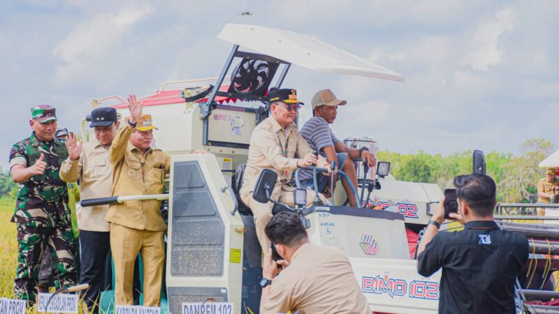 Gubernur Kalteng Hadiri Panen Raya Padi di Desa Terusan Makmur