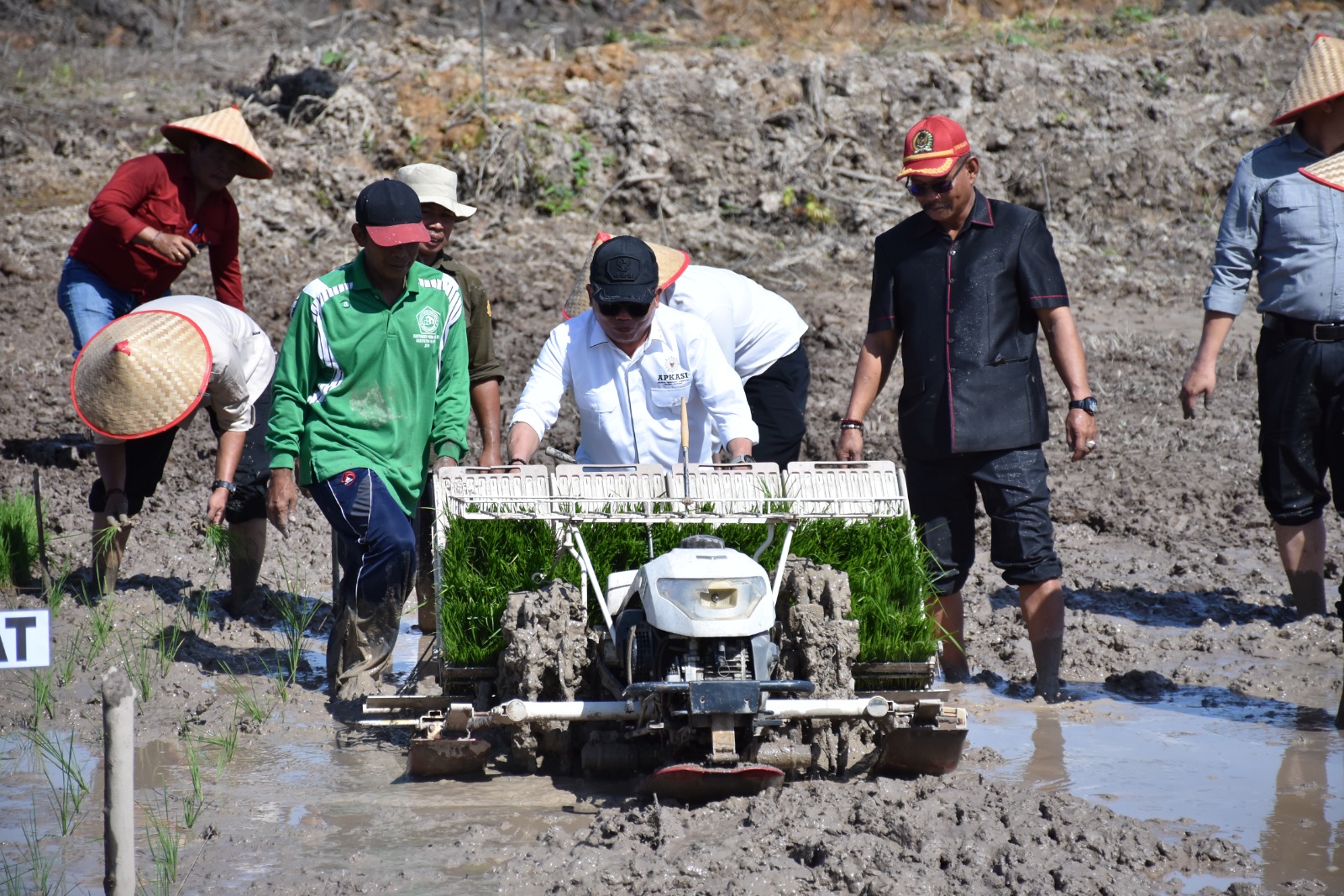 Thosibae Limin Apresiasi Bantuan Alsintan Kepada Kelompok Tani di Kapuas