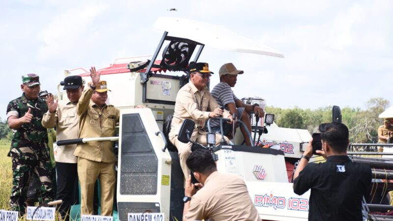 Dukung Ketahanan Pangan Nasional, Bupati Kapuas Dampingi Gubernur Kalteng Panen Raya Padi di Bataguh