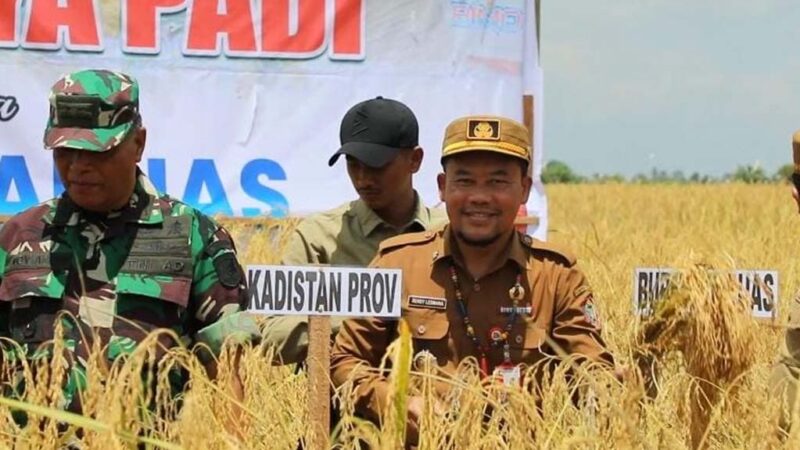 Bangun Ketahanan Pangan, Kadis TPHP Kalteng : Maksimalkan Potensi Padi Lokal