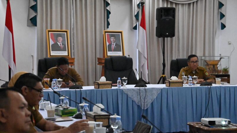 Pemprov Kalteng Ikuti RDP Bersama Komisi II DPR RI Bahas Kemandirian Fiskal Daerah