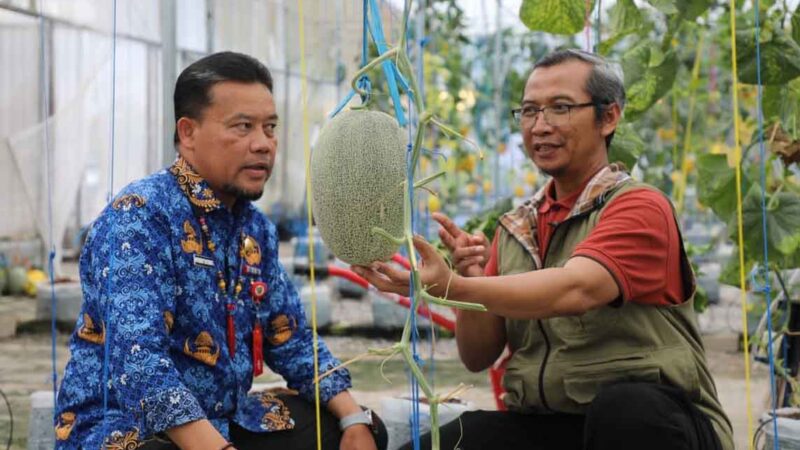 Dukung Visi Misi Gubernur, Dinas TPHP Kalteng Gandeng UPN Veteran Yogyakarta Dalam Penelitian dan Budidaya Melon