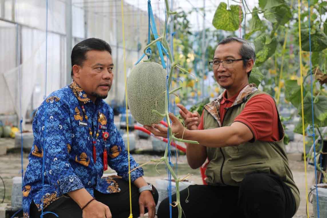 Dukung Visi Misi Gubernur, Dinas TPHP Kalteng Gandeng UPN Veteran Yogyakarta Dalam Penelitian dan Budidaya Melon
