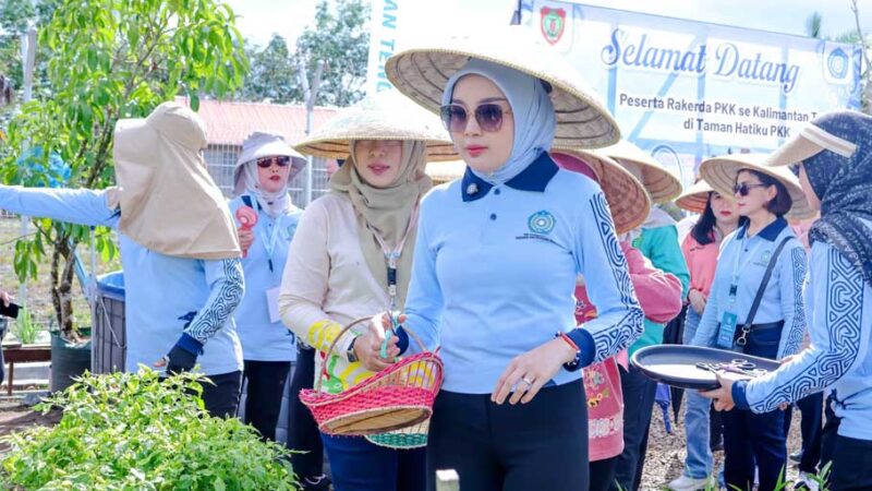 “Aku Hatinya PKK”, Dorong kader PKK Manfaatkan Lahan Pekarangan Sebagai Sumber Pangan