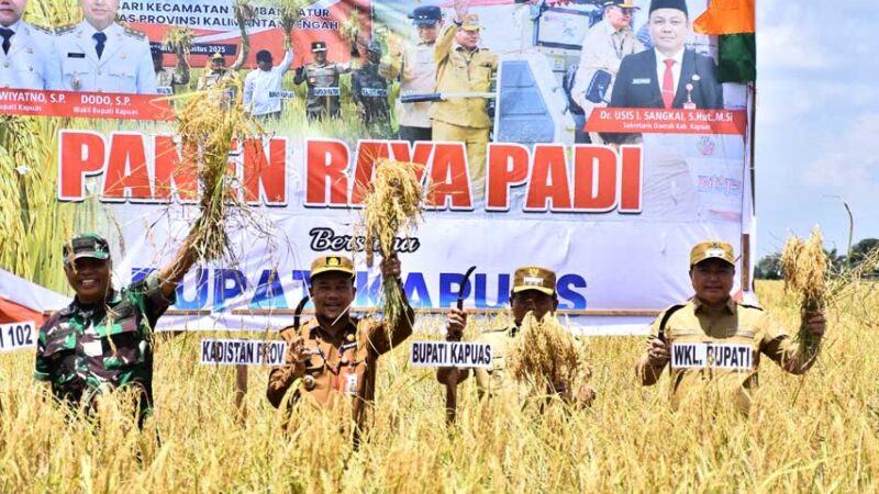 Bangun Ketahanan Pangan, Bupati Kapuas Laksanakan Panen Raya di Desa Anjir Serapat Tengah