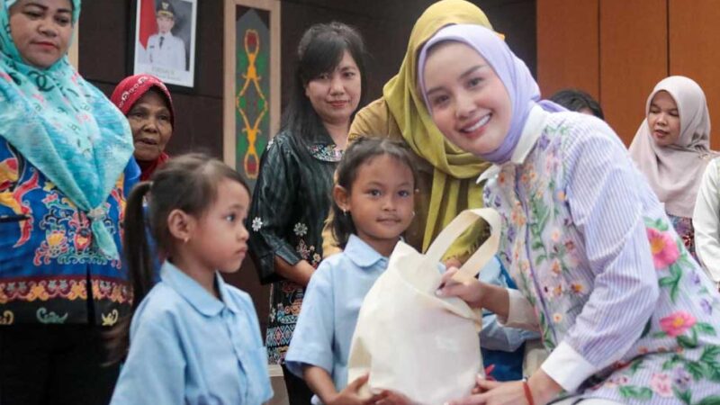 Ketua TP Posyandu Kalteng Laksanakan Sosialisasi dan Pembinaan Posyandu 6 Bidang SPM di Kabupaten Katingan