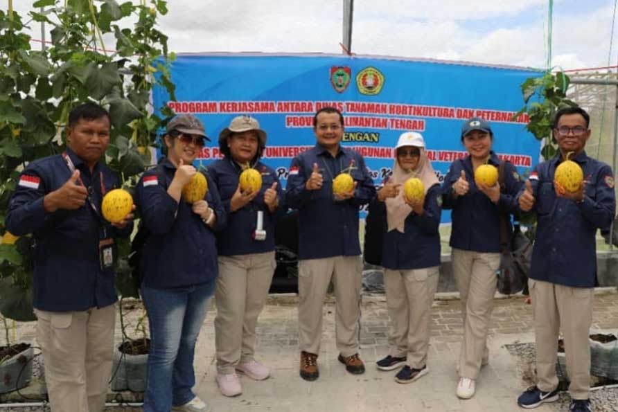 Terapkan Teknologi Smart Green House, Dinas TPHP Kalteng Panen Melon Berkualitas Tinggi