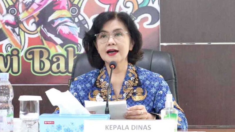 Pemprov Kalteng Gelar Sosialisasi Lembaga Penyedia Layanan Pemberdayaan Perempuan