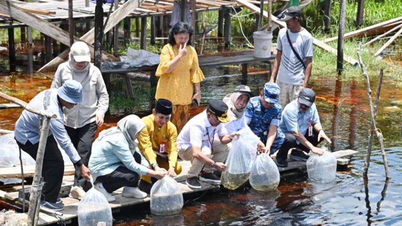 Jaga Keseimbangan Ekosistem Alam, Gubernur Kalteng Sebar Bibit Ikan