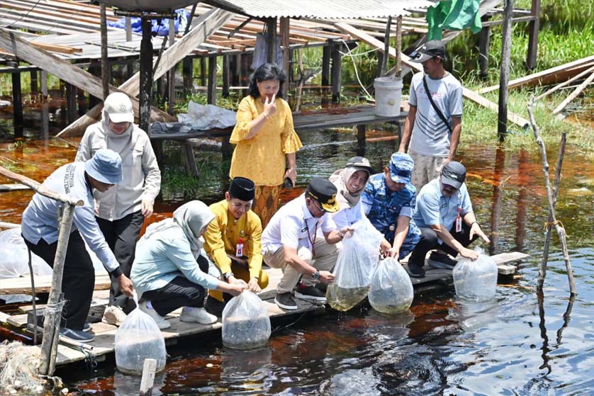 Jaga Keseimbangan Ekosistem Alam, Gubernur Kalteng Sebar Bibit Ikan