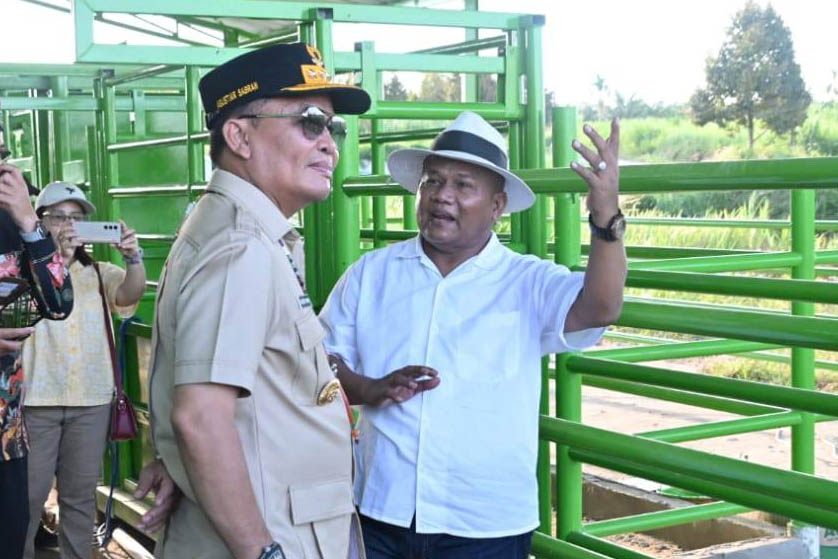 Gubernur Agustiar Sabran Tinjau Sentra Produksi BJA Farm di Kobar