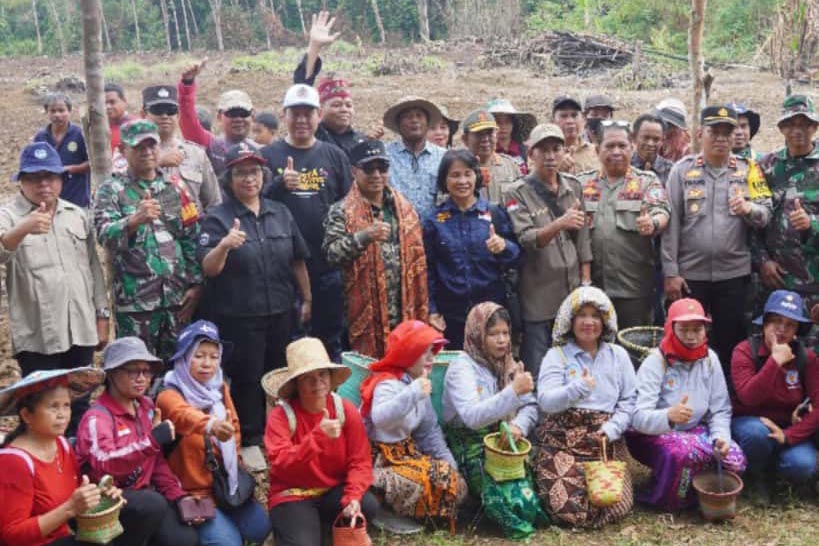 Usai Lakukan Penanaman Jagung Hibrida, Bupati Mura Laksanakan Tanam Padi Gogo