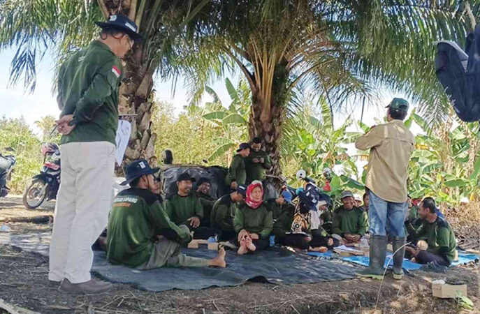 Petani Cabai Ikuti Pembekalan SLPHT