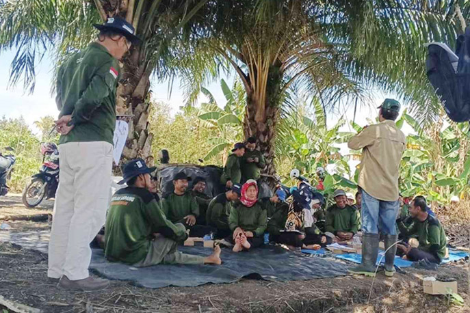 Petani Cabai Ikuti Pembekalan SLPHT