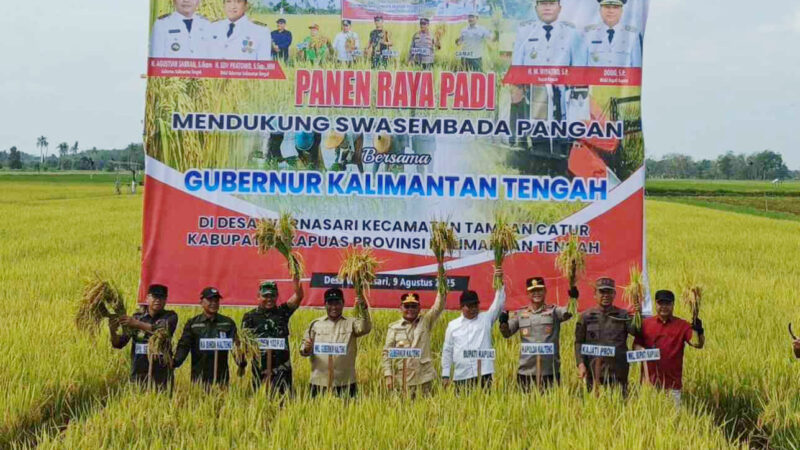 Panen Raya Padi Bersama Gubernur Kalteng, Kabupaten Kapuas Siap Jadi Lumbung Pangan Nasional
