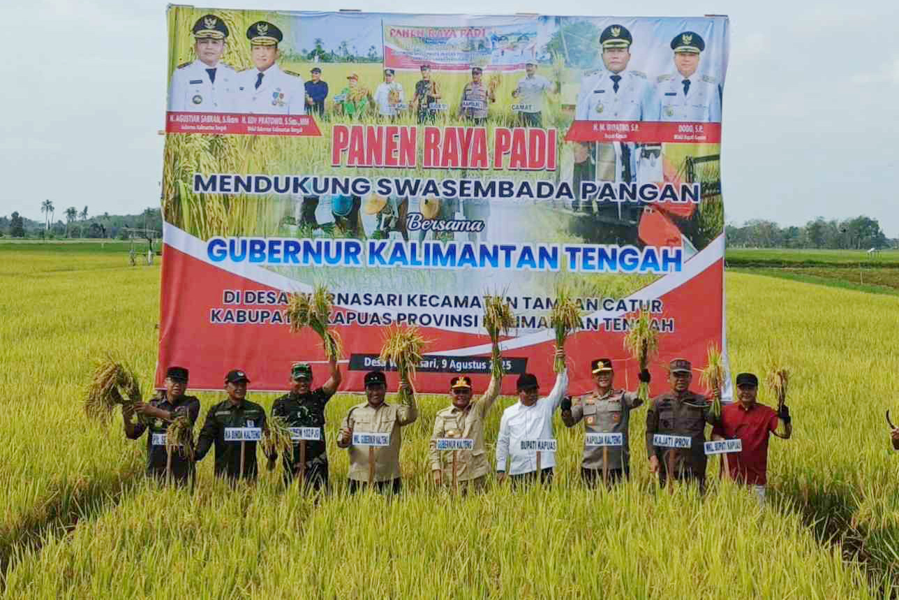 Panen Raya Padi Bersama Gubernur Kalteng, Kabupaten Kapuas Siap Jadi Lumbung Pangan Nasional