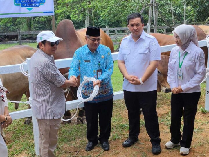 Bupati Lamandau Hadiri Serah Terima 200 Ekor Sapi Kurban dari Keluarga Besar H. Abdul Rasyid AS dan PT SSS Tbk