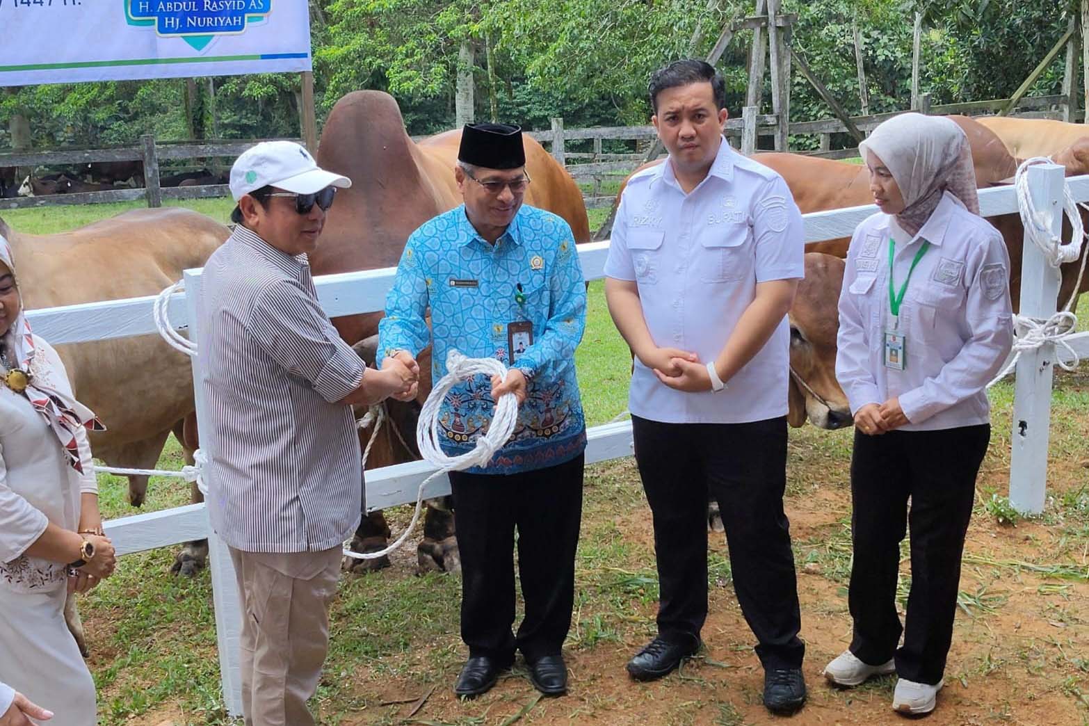 Bupati Lamandau Hadiri Serah Terima 200 Ekor Sapi Kurban dari Keluarga Besar H. Abdul Rasyid AS dan PT SSS Tbk