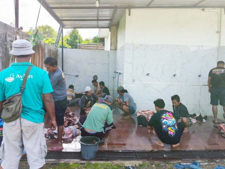 Masjid Nurul Huda “Masjid Kaca” Laksanakan Pemotongan Hewan Kurban Bantuan Pemkab Lamandau