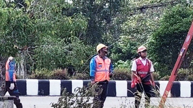 PLN Nanga Bulik Sigap Tangani Putusnya Kabel Tegangan Tinggi di Desa Kujan