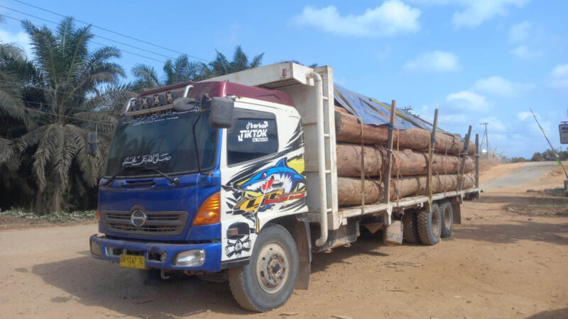 Truk Diduga Angkut Kayu Terparkir di Desa Perigi Raya, Bupati Lamandau: “Tangkap Jika Ada yang Catut Nama Saya”