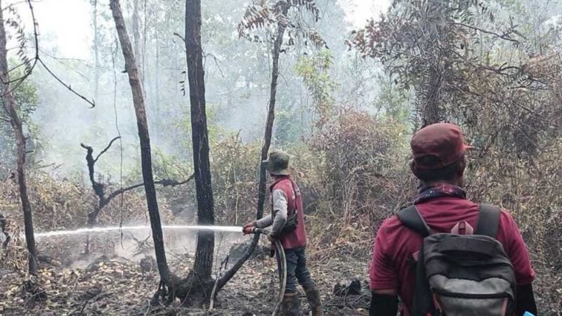 TTA Group Perkuat Sinergi Tangani Karhutla di Kapuas, Dukung Pemadaman hingga Pendinginan