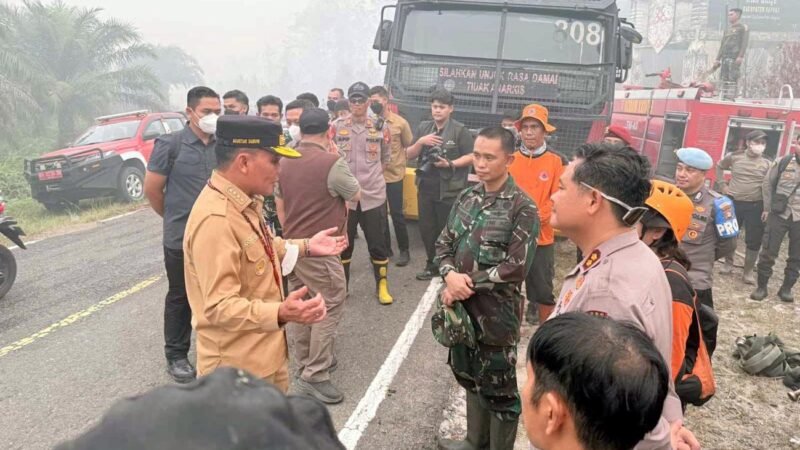 Gubernur Kalteng Turun Langsung Pantau Karhutla di Barsel